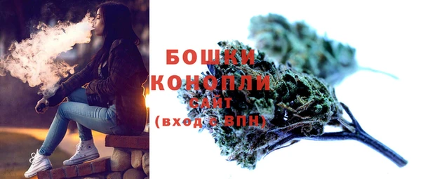 apvp Ельня