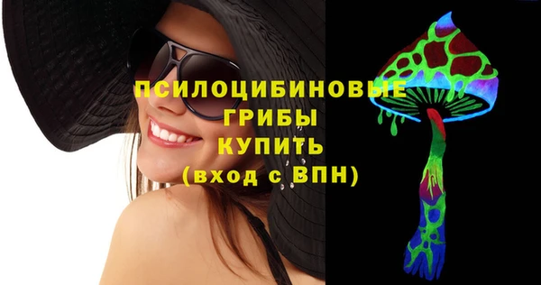 apvp Ельня