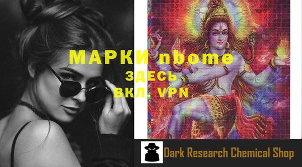 apvp Ельня