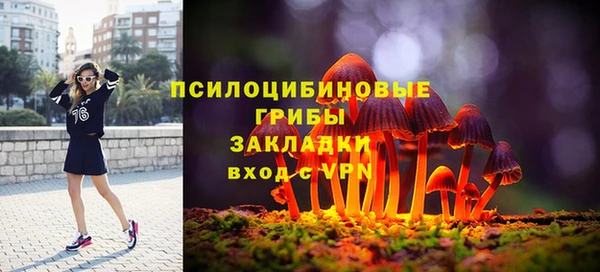 apvp Ельня