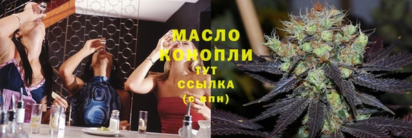 apvp Ельня