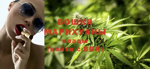 apvp Ельня