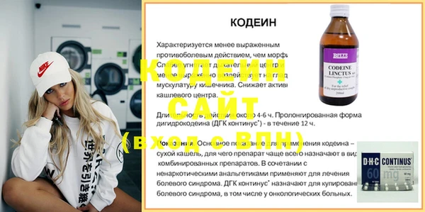 apvp Ельня