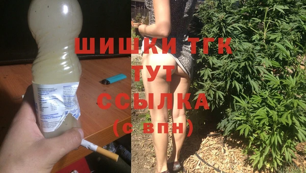 мет Няндома